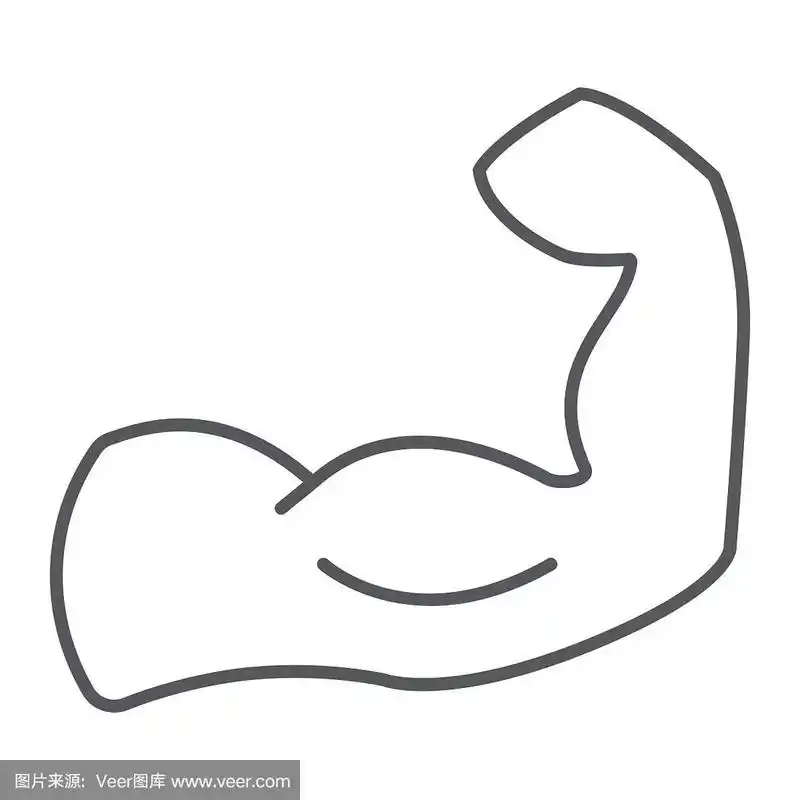 肌肉细线图标,力量健美,肌肉手臂符号,矢量图形,白色背景上的线性图案