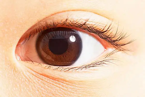 棕色眼睛图片_图片大全