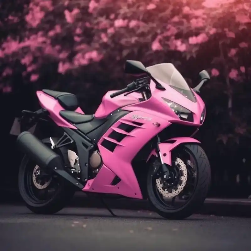 六 kawasaki ninja 400(图2-图3) 品牌:川崎 坐高:785mm 参数:399cc