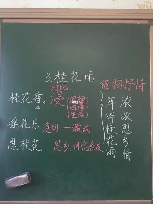 桂花雨第2课时