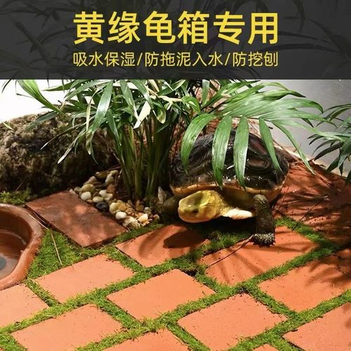 黄缘龟箱造景专用陶砖小红砖安缘饲养缸陶土砖陆龟铺地垫材装饰品