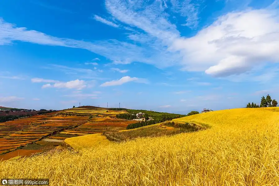 秋高气爽金秋风景图片