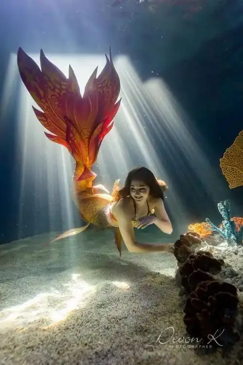 50张美人鱼滟照没想到美丽背后是如此痛苦