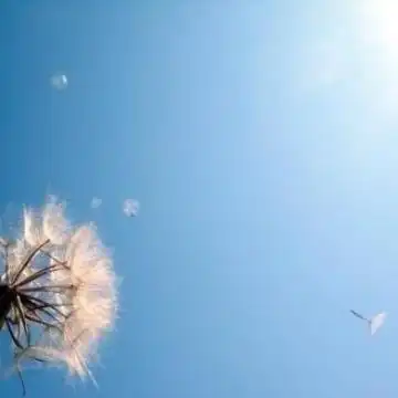 简约自然的天空风景头像精选天空因你而多姿多彩