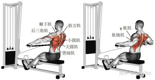 背肌健身经典动作图解