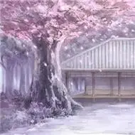樱花头像图片大全唯美梦幻樱花飘落图片头像