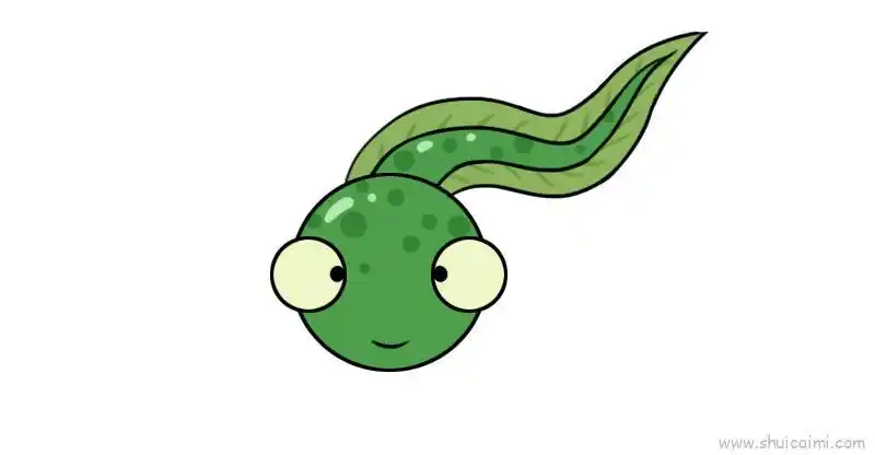 蝌蚪儿童画怎么画 蝌蚪简笔画图片