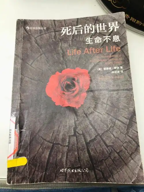 读书笔记死后的世界生命不息