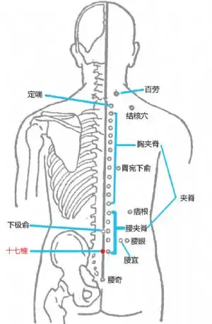 标准定位:十七椎穴在腰部,当后正中线上,第5腰椎棘突下[1][3].