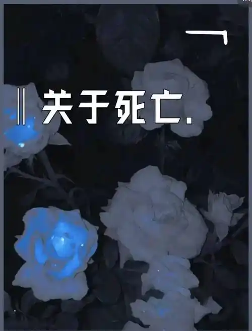 丧逼领袖不是太宰治,现在是博尔赫斯_语录_文字_生命