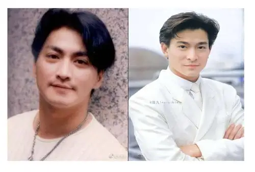 刘德华何家劲长相对比图