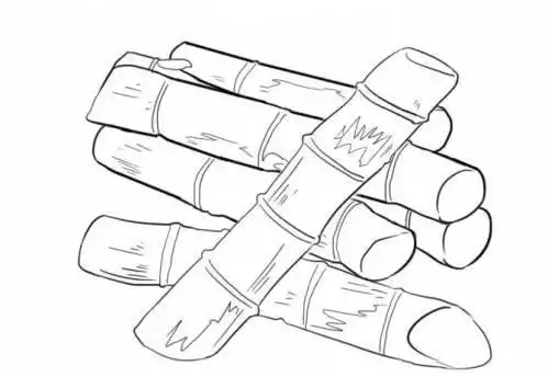 甘蔗的简笔画图片