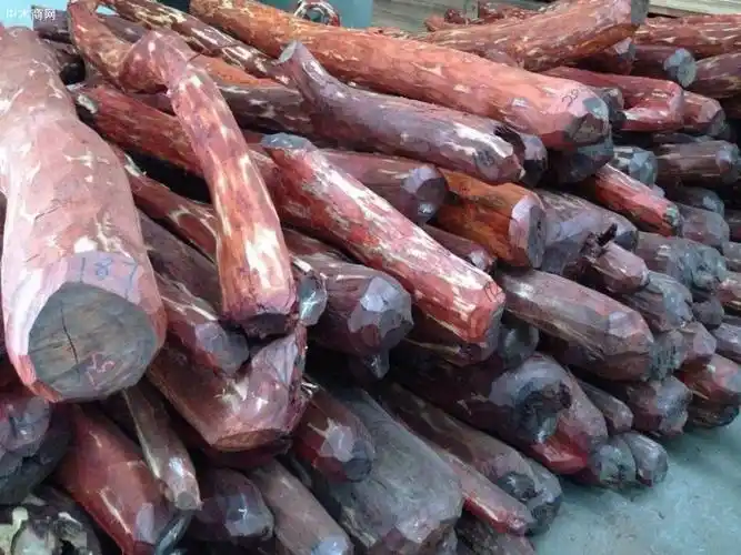 小叶紫檀原木价格