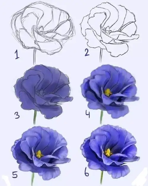 哇塞太好看的花啦~第一眼就是心动的样子!