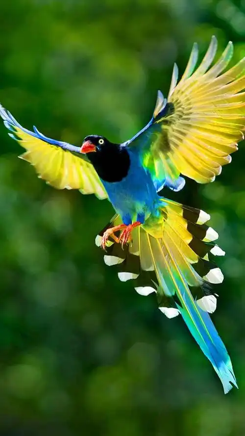 手机拍出一百部大片既视感――第六部 - it610.com