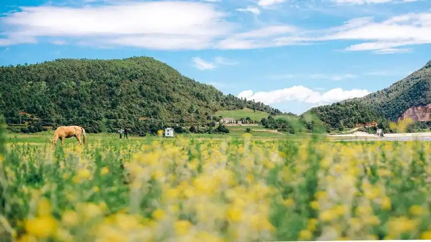 清爽夏日风景图片桌面壁纸