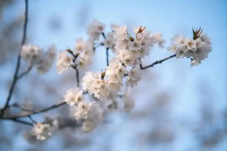 南阳理工学院安阳工学院河南财政金融学院河南城建学院平顶山学院黄淮