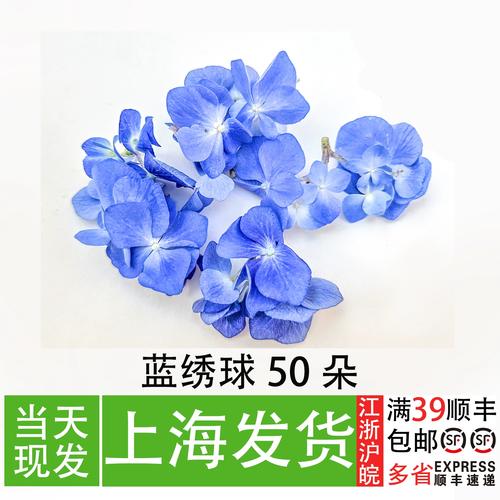 蓝绣球花 新鲜花卉 西餐酒店私房菜创意摆盘花草 菜品装饰美观