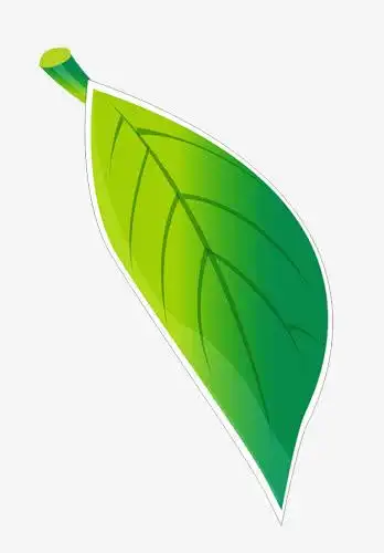 叶子免抠免抠素材免费下载_觅元素51yuansu.com