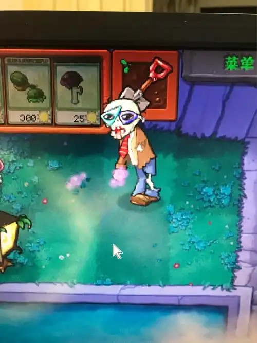 植物大战僵尸隐藏僵尸装扮