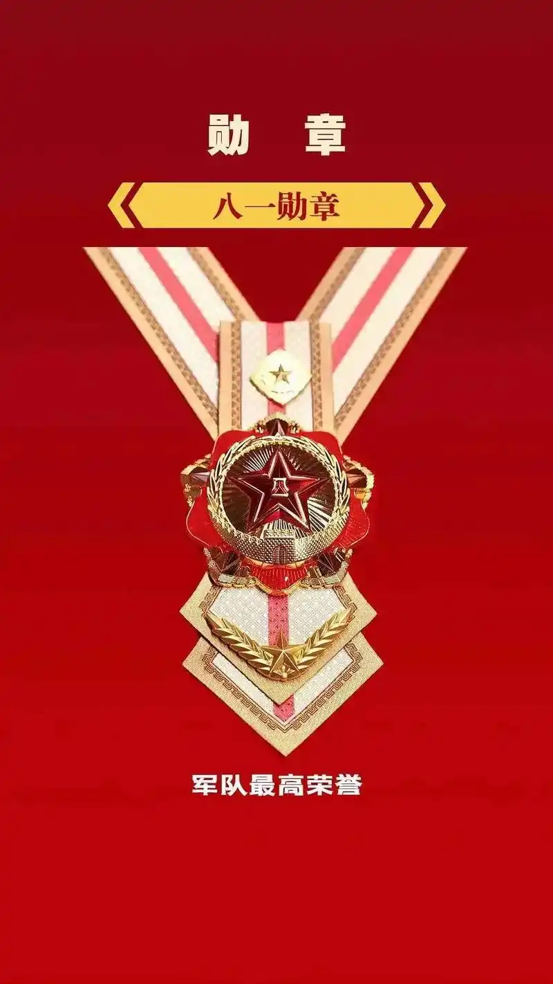 新时代军队勋章奖章纪念章珍藏版高清大图值得点赞收藏
