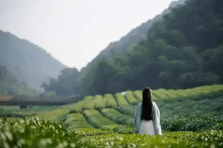 背景_中景_人物