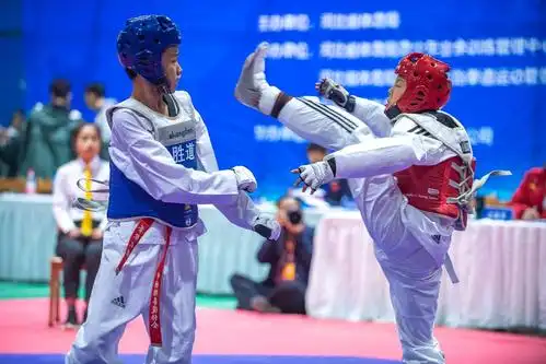 2020河北省青少年跆拳道锦标赛纪实