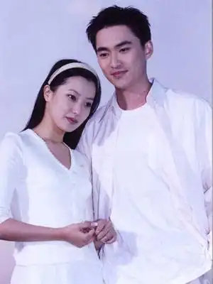 组图:金喜善电视剧作品集