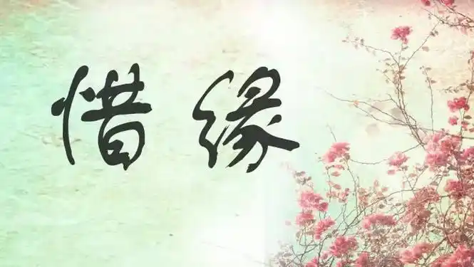 缘分离不开珍惜二字