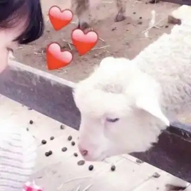 高清情侣头像可爱呆萌小孩图