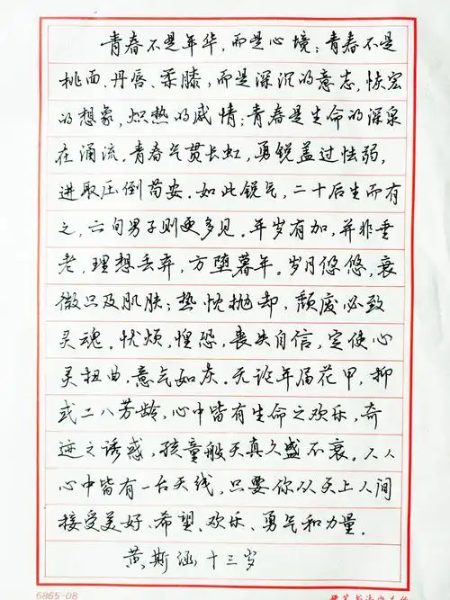 学生硬笔行书作品