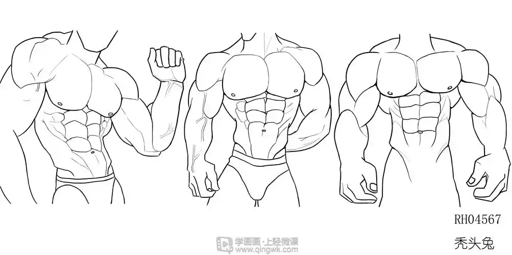 临摹男性肌肉角色人物肌肉绘画训练修改