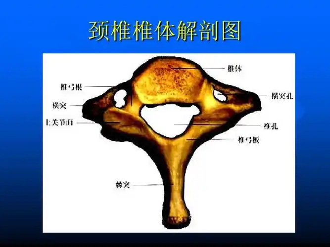 颈椎前路手术配合-方璐