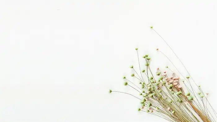 六张简约清新花束ppt背景图片