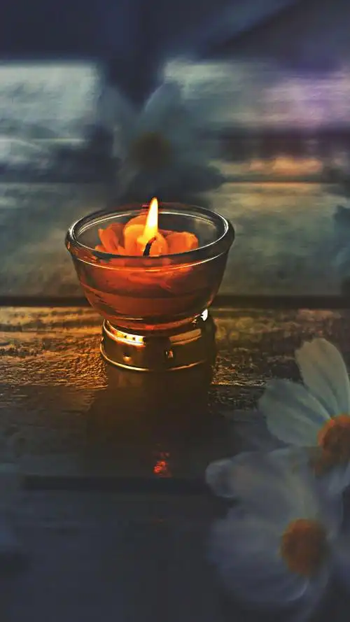 小清新意境家居静物