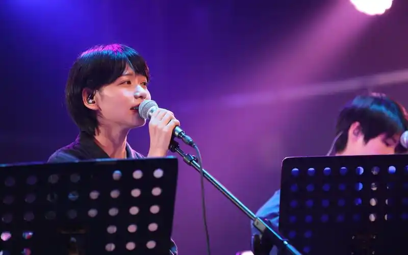 花门与她音乐会房东的猫你是我最愚蠢的一次浪漫高清4k