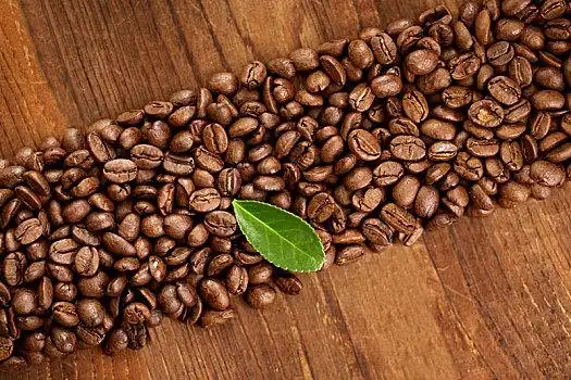 咖啡豆图片_咖啡豆图片大全_咖啡豆图片素材