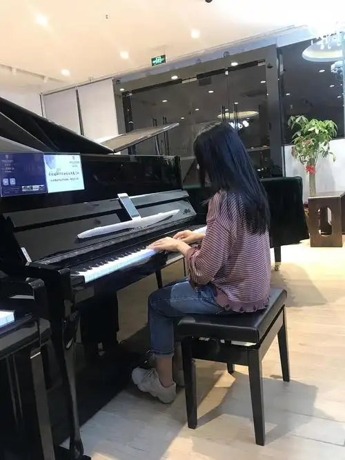 有没有会弹钢琴的人儿