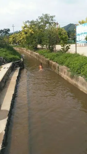 小男孩在江中戏水游泳.