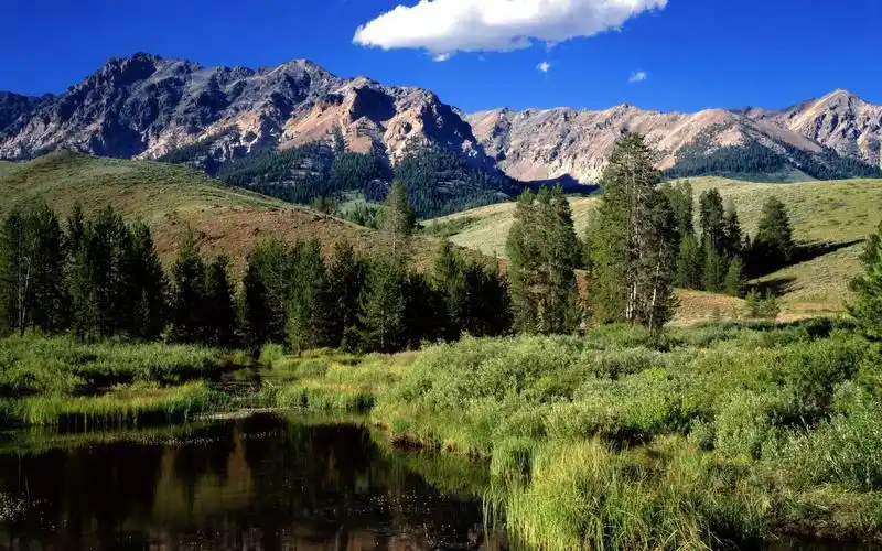 风景,大自然,沙滩,风景,电脑壁纸,壁纸阳光明媚的沙滩