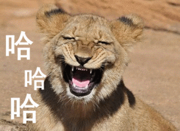 各种哈哈大笑的动图表情包