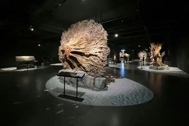 上海木文化博物馆位于宝山区大场镇,是国家aaa级旅游景区,也是国内