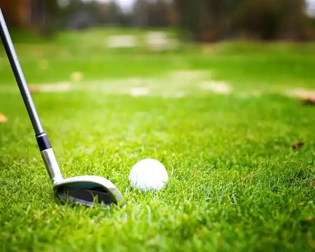 高尔夫球,球,草 iphone 桌布