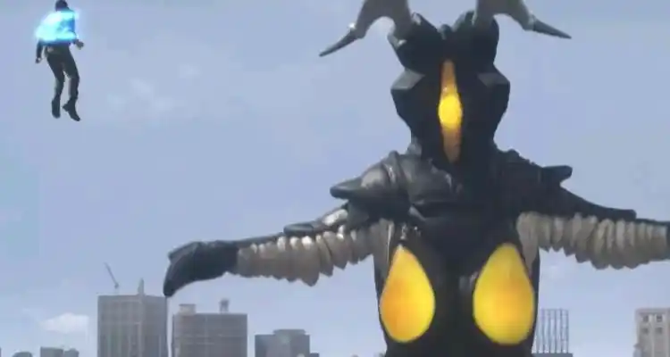 芝顿的20种形态?