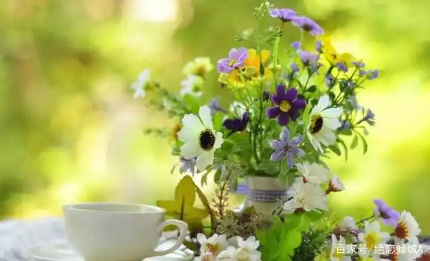 美好的一周,加油!愿您每天都有好心情,工作生活如意舒心!