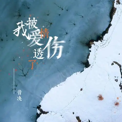 我被爱情伤透了心