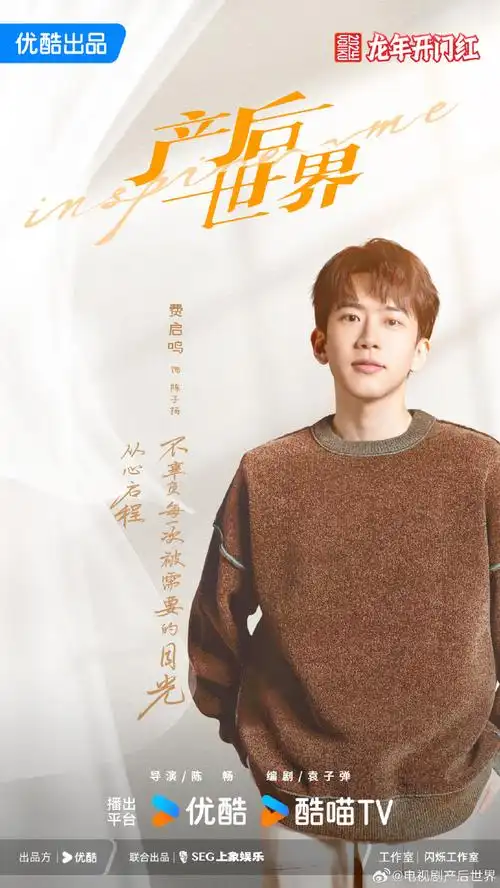 编剧:@编剧袁子弹  领衔主演:@李小冉@郑恺@李念@王耀庆工作室