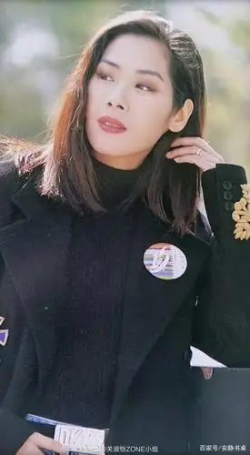 美人不迟暮!关淑怡 的图集