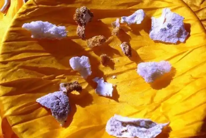 舍利子成分详解舍利子成分化学分析