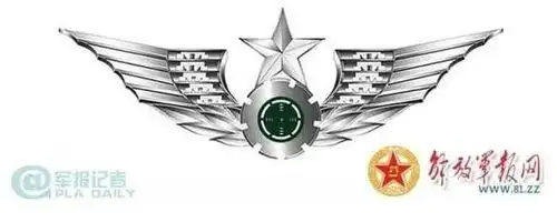 陆军胸标简笔画